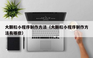 邯郸大颗粒小程序制作方法（大颗粒小程序制作方法有哪些）